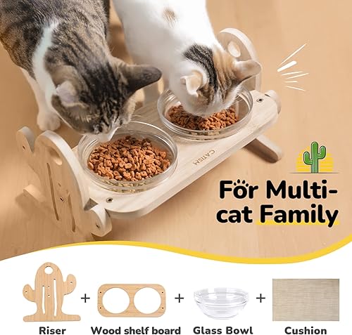 Miniatura 4 de Cuencos elevados para gatos con forma de cactus, cuencos inclinados para gatos con 2 cuencos de vidrio y alfombrilla antideslizante para alimentos y