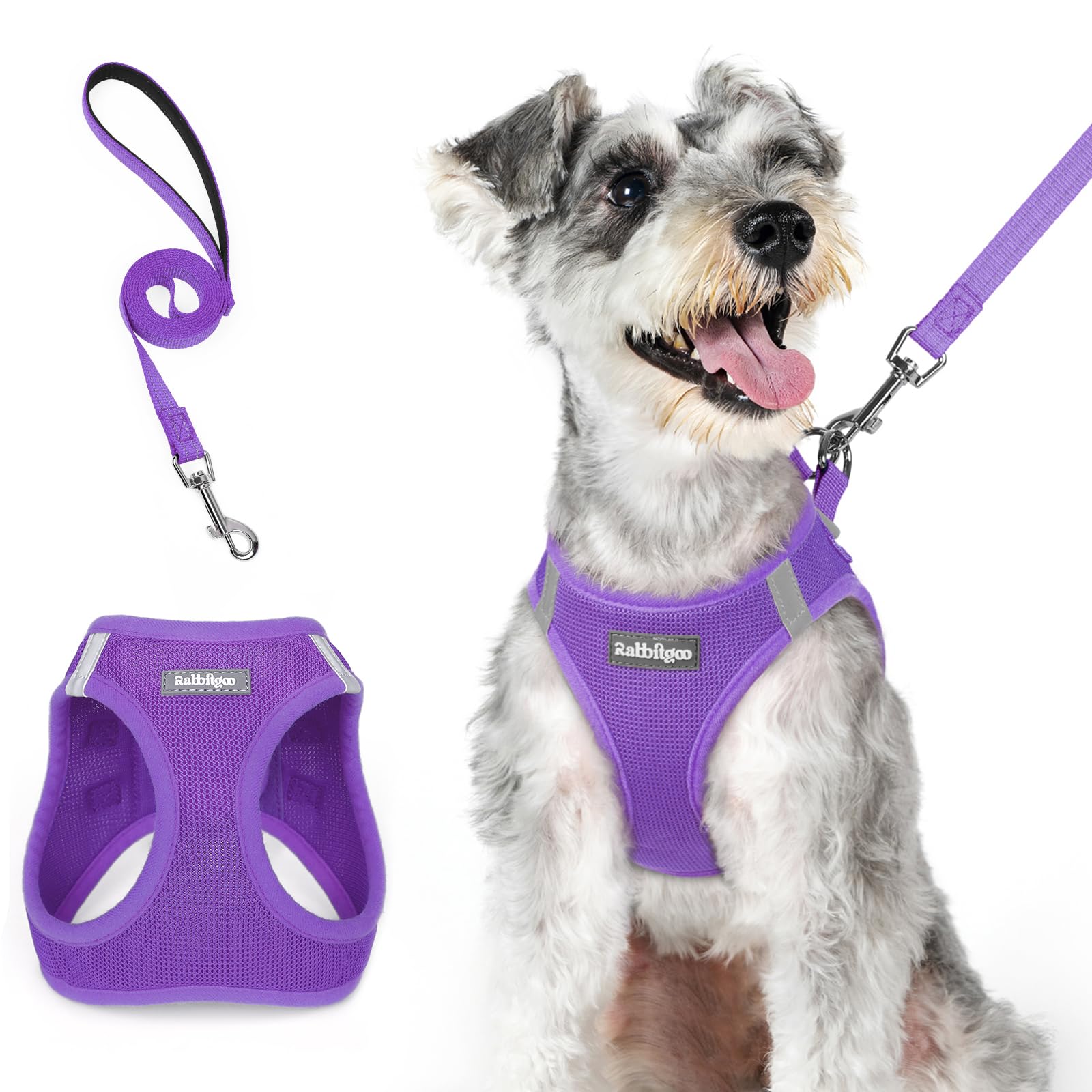 rabbitgoo Small Dog Harness and Lead Set, Step-in Soft Mesh Puppy Harness — image 1