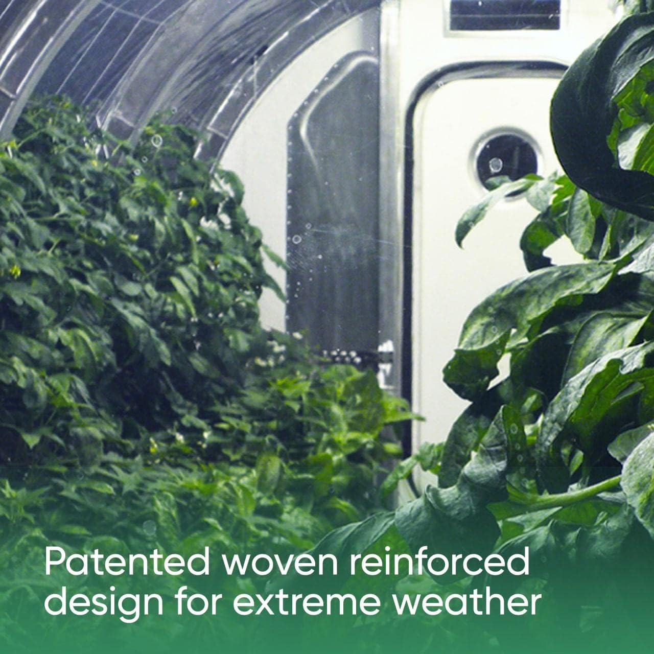 Black & White Light Deprivation Greenhouse Panda Film Blackout Tarp Woven Polyethylene Cover for Greenhouses, 9 Mil Thick Covering, 32' x100'