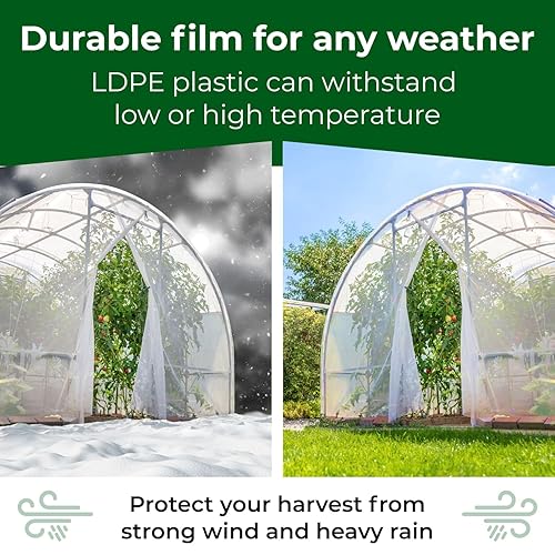 Miniatura 4 de IDL Packaging Lámina de plástico transparente para invernadero de 6 mil, 20 x 100 pies cuadrados (2000 pies cuadrados) - Polietileno grueso