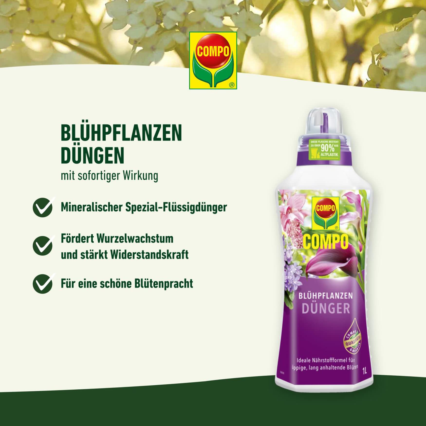 saatgut fr garten Bio-Saatgut Abobox 'Gartengemse'
