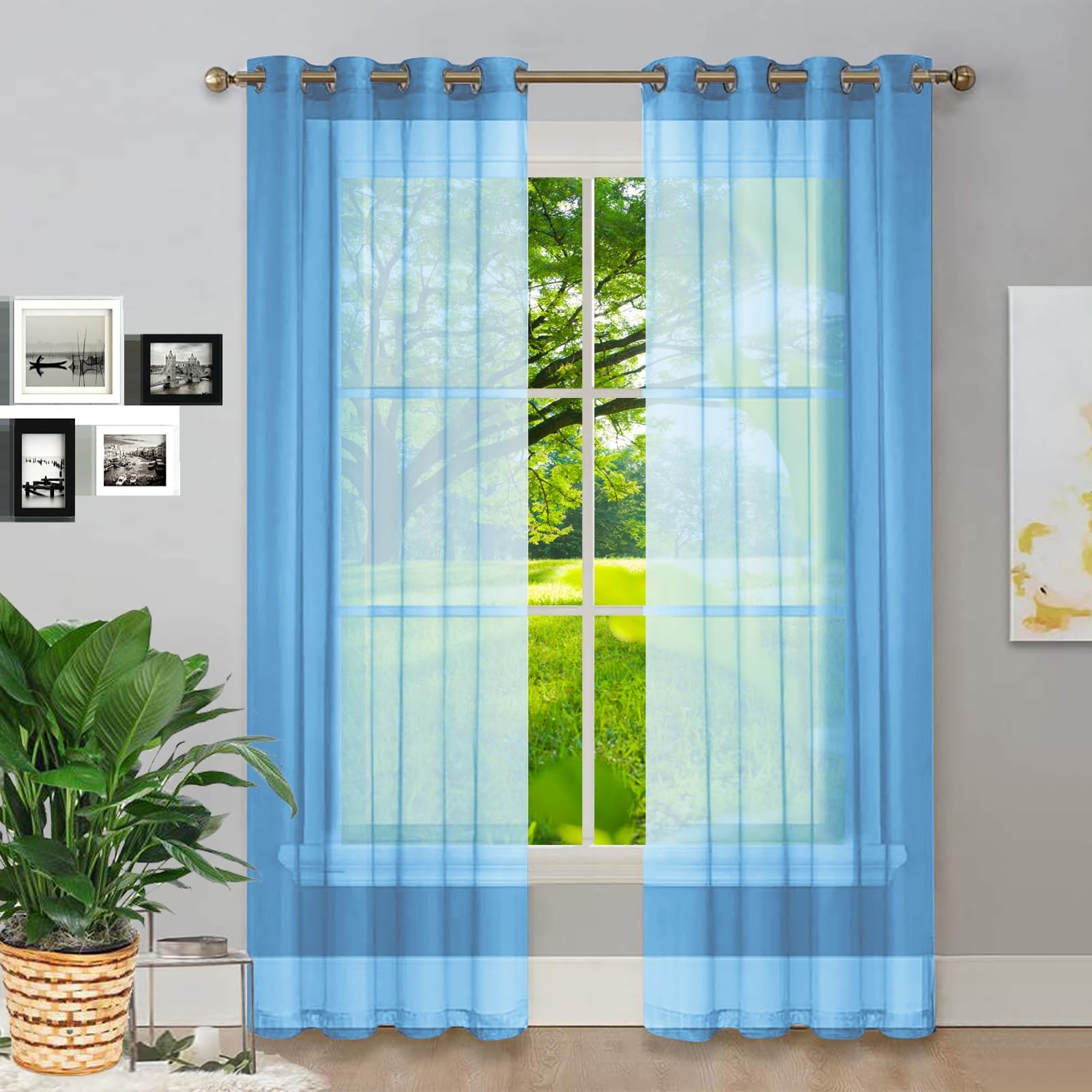 Rideau Décoratif à Œillets Argentés 250 x 145 cm 100% Polyester/Transparent Intérieurs Rideaux Franges Paillette pour Chambre Fenêtre Salon Coucher, Bleu Ciel