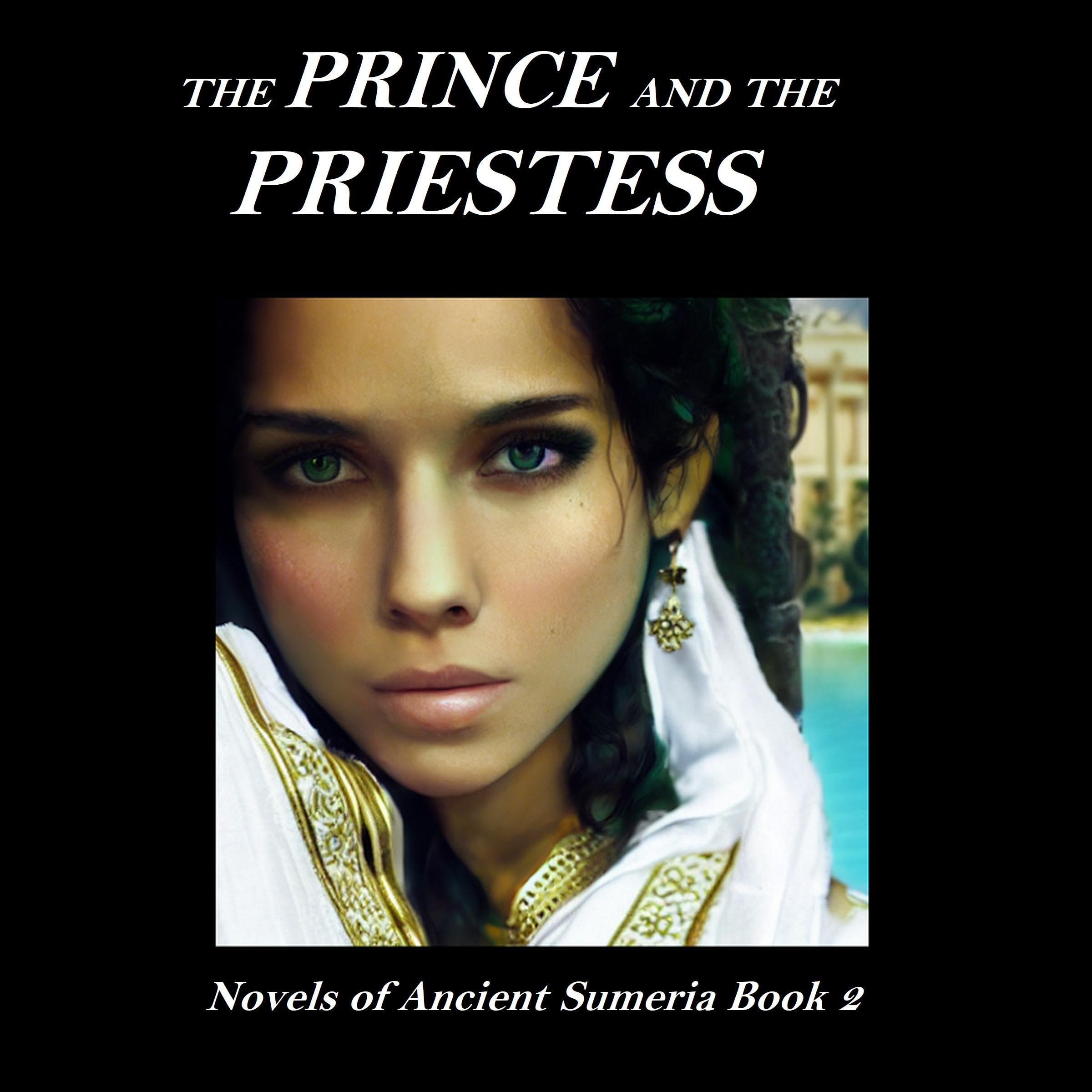 Cover art for The Prince and the Priestess
