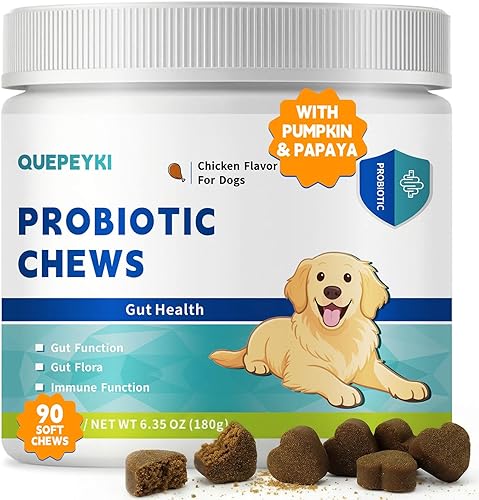 QUEPEYKI Los probióticos para perros apoyan la salud intestinal ocasional diarrea digestiva, probióticos para perros y enzimas digestivas con