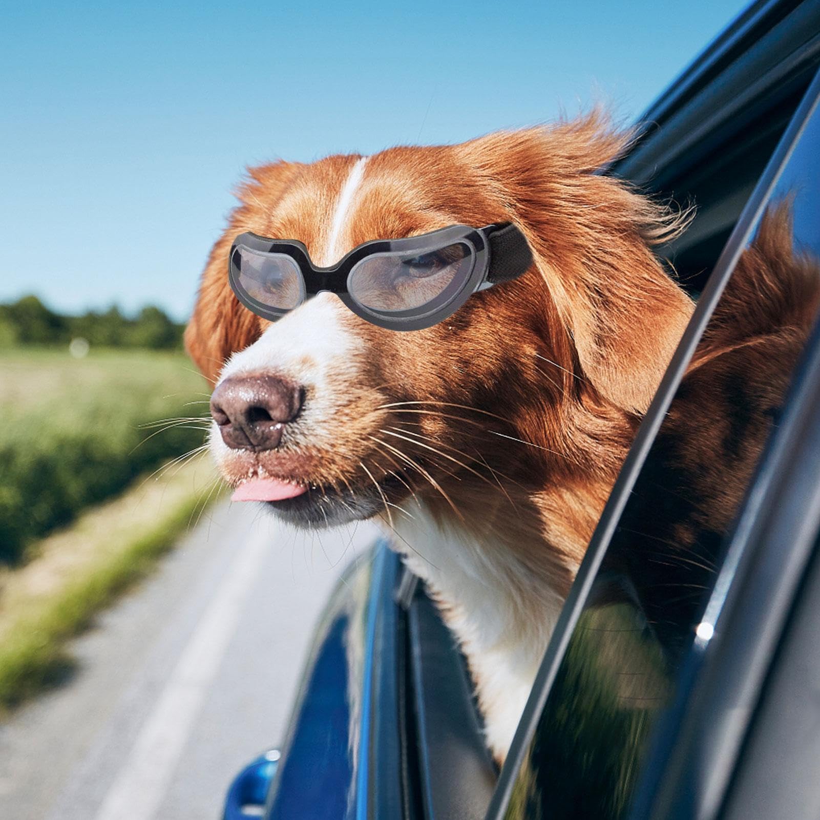 Motocicletas para perros, casco de moto para animales, casco para mascotas con gafas ajustables casco gafas sol coloridas para perros pequeños, gatos
