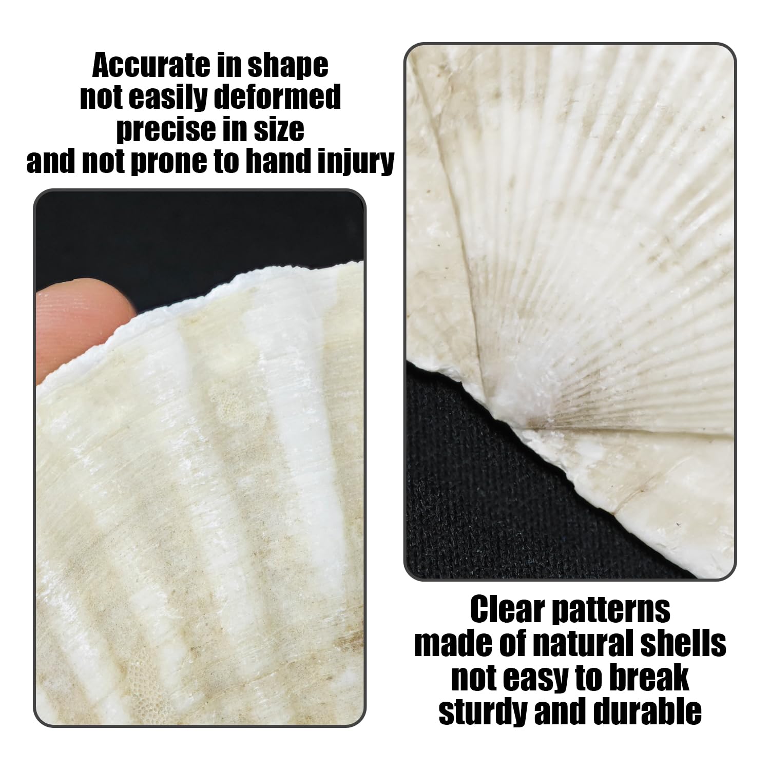 16 Pezzi di Conchiglie E 2 Pezzi di Pennelli, Decorazione di Conchiglie, Conchiglie per Artigianato, Conchiglie per Decorazione di Acquari, Materiali Artigianali Fai-da-Te sul Tema dell'Oceano