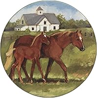 Vista 5 de Certified International York Stables - Platos llanos de 10.5 pulgadas, juego de 4