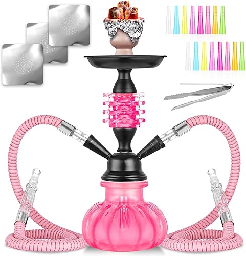 Juego de cachimba con todo de 11 pulgadas, 2 mangueras, Shisha Hookah, juego completo de mini jarrón de calabaza de vidrio (rosa)