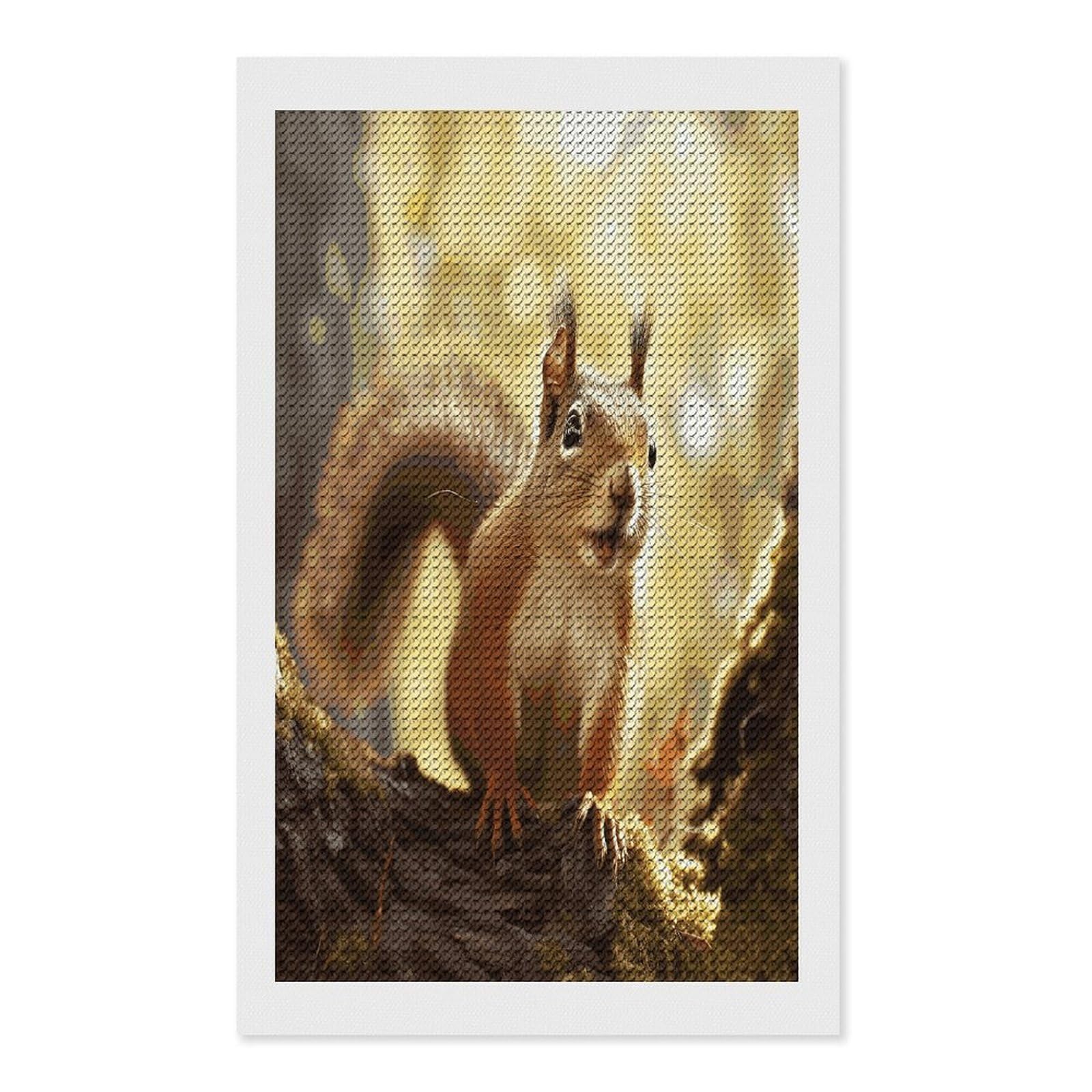 FekiLoot Funny Squirrel Diamond Art Kits for Adults Diamond Painting Kits for Beginners DIY Diamond Art Kits Round Full Drill Diamond Dot Gem Painting for Home Wall Decor Gift 12"x20"
