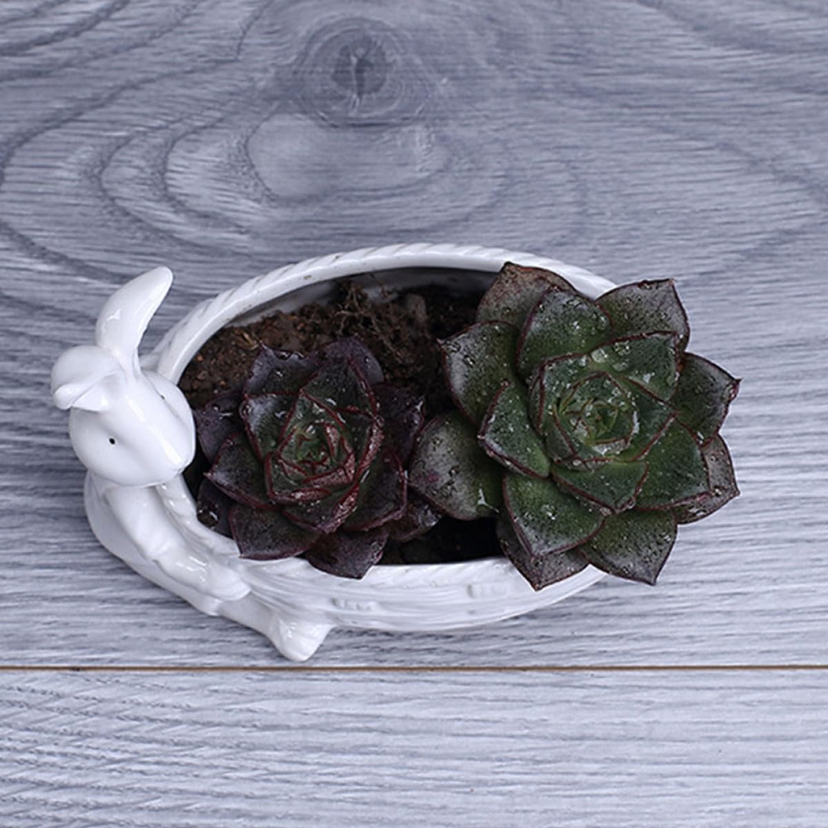 Happyyami 3 Szt Biała Doniczka Prezenty Biurowe Cukierki Do Biura Niebiesko-Biała Doniczka Małe Sadzarki Dla Zwierząt Duża Doniczka Kreatywna Doniczka Bonsai Sadzarka Ceramiczne Doniczki