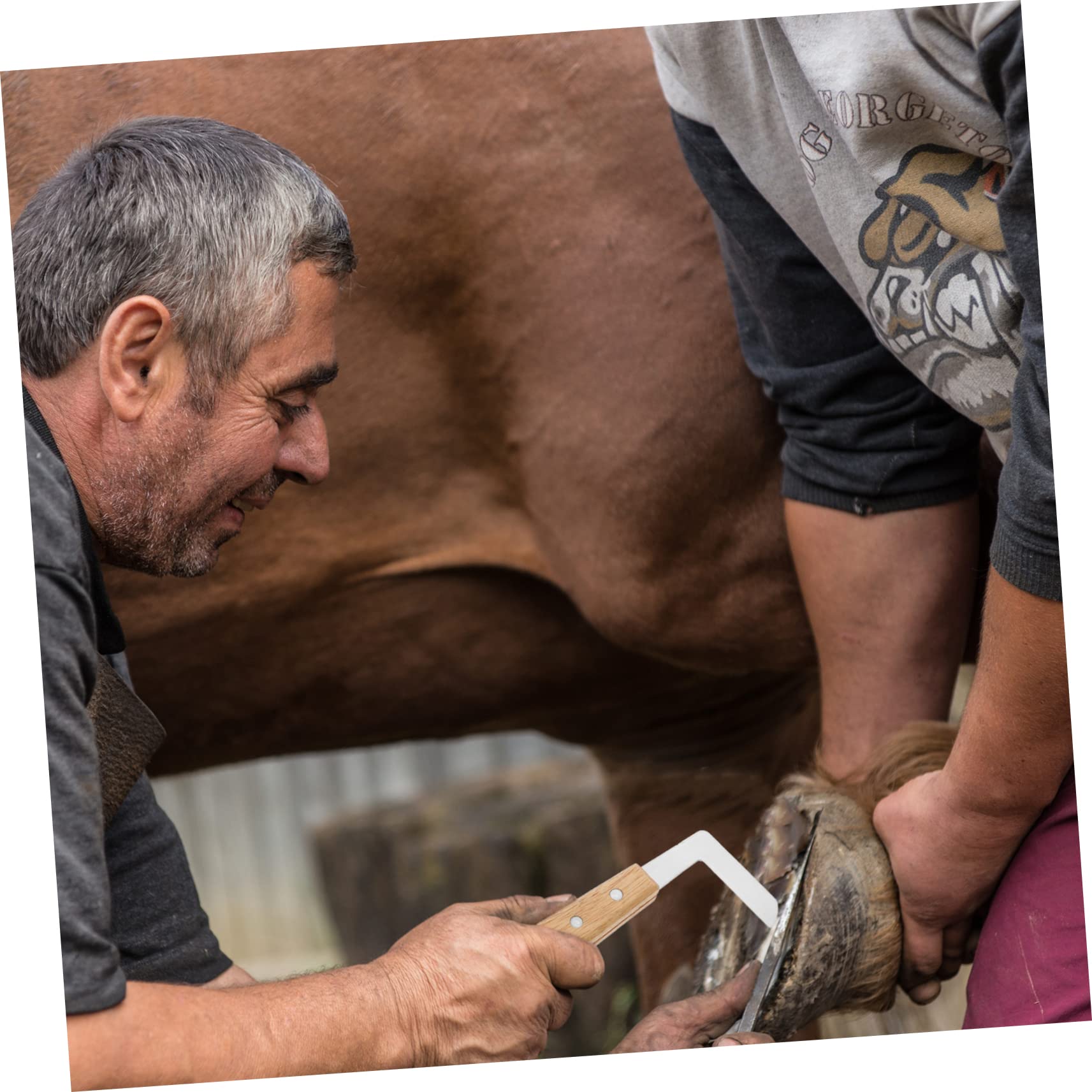 Mipcase 3stücke Tierhufschneider Für Pferde Und Schafe Ergonomisches Hufpflege-Werkzeug Mit Rutschfestem Griff Für Professionelle Hufpflege