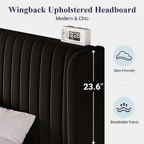 Miniatura 5 de Allewie Queen Size Velvet Bed Frame/Vertical Channel Tufted Wingback Headboard/Upholstered Platform Bed/Strong Wooden Slats/No Box Spring
