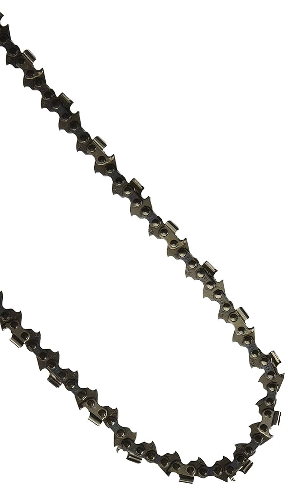 Apple - のリーズ Amazon.com: OREGON 25AP076G 76 Drive Link Micro Chisel Chain