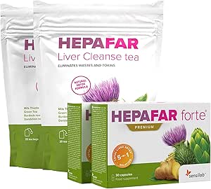 DETOX TEA | Te Al Tarassaco Con Bardana,Te Verde, Zenzero, Ortica, Finocchio, Cannella, Cardamomo | Tisana Depurativa Fegato Grasso Disintossicante Forte | Tisana Drenante | Depura Fegato | 100g