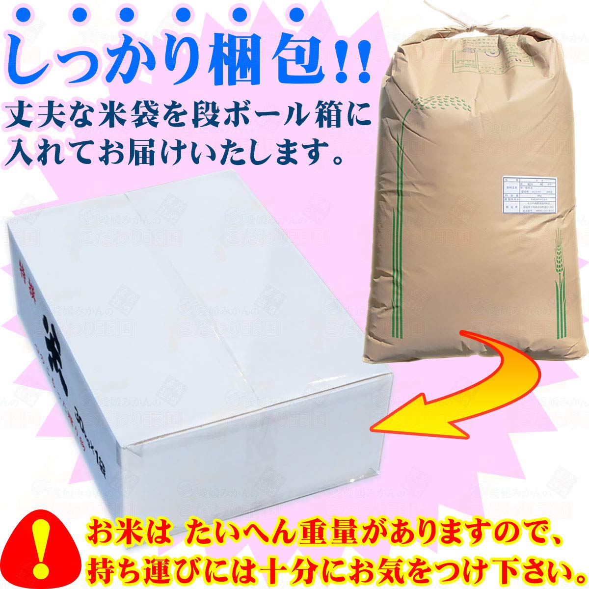 Amazon.co.jp: 【 愛媛みかんの こだわり王国 】 令和7年産 新米 愛媛 