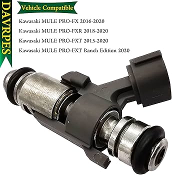 71fsAE-D-jL._AC_UF350,