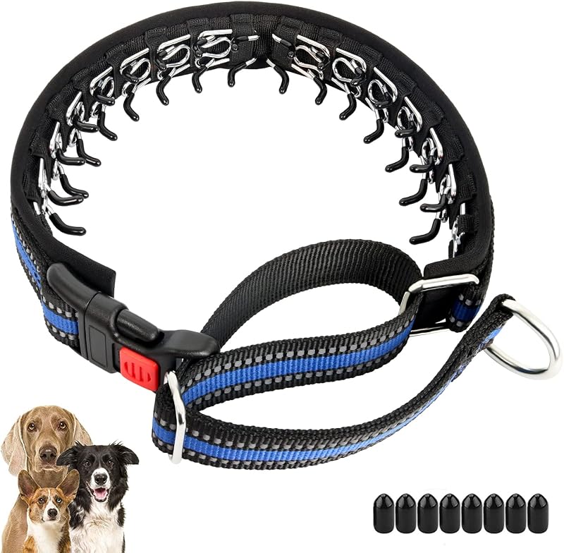 Mayerzon Martingale Collar No Pull for Small Medium Large Dogs | Blue, L | Reflective, Patented Anti Pulling Dog Collar for Walking Training, Buckle, Adjustable, Safe for Night Walks, 2.5mm Links
