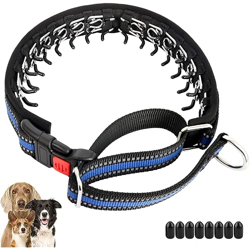 Mayerzon Martingale Collar for Dogs, No Pull Dog Collar with Reflective Strip for Small Medium Large Dogs, Anti Pulling Dog Collar with Buckle for Walking Training, Safe for Night Walk(Blue, L)