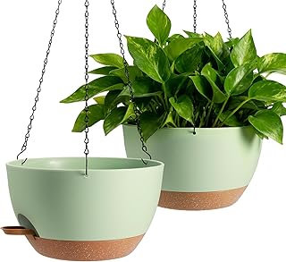 Hanging Planters