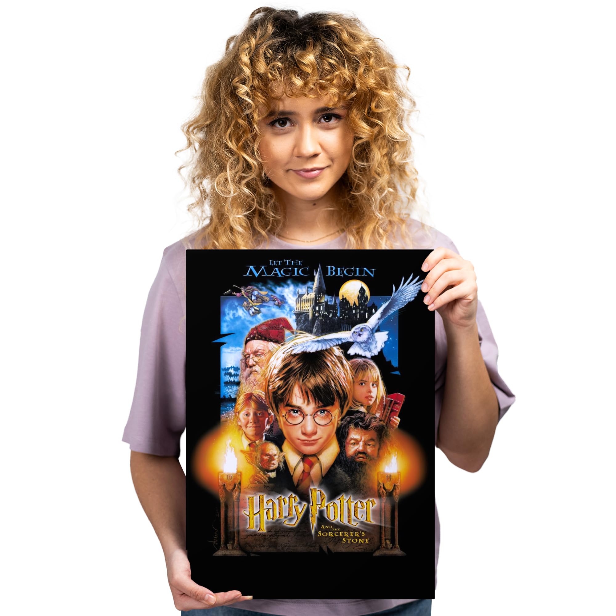 Amazon.com: Displate Metal Poster Harry Potter - Wizarding World