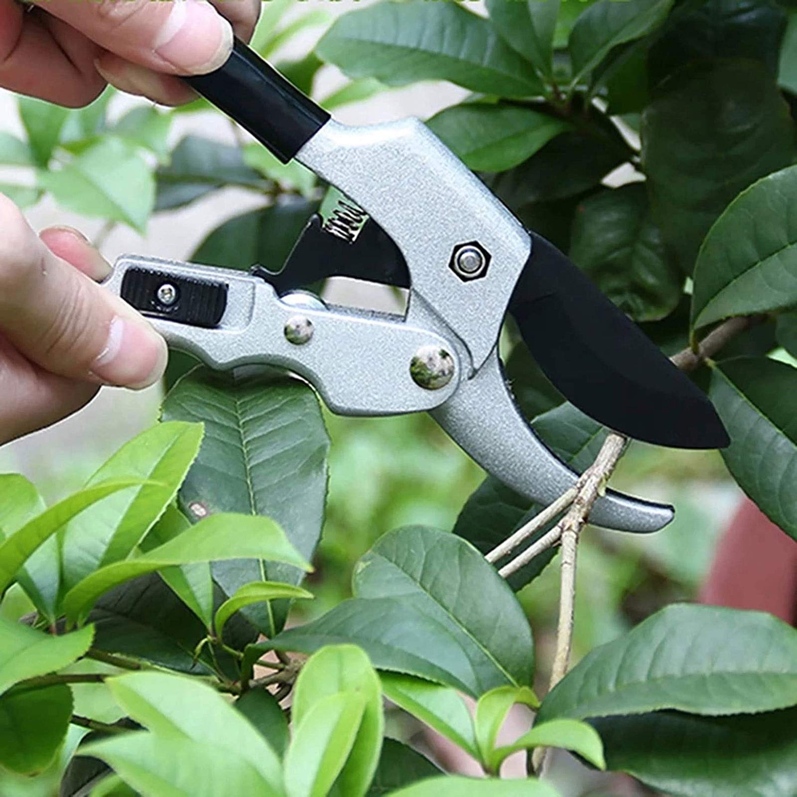 Gartenschere für die Gartenarbeit Gartenschere, Professionelle Gartenschere Bypass Sk5 Klinge, Baumschere Hand-Gartenschere aus Edelstahl,