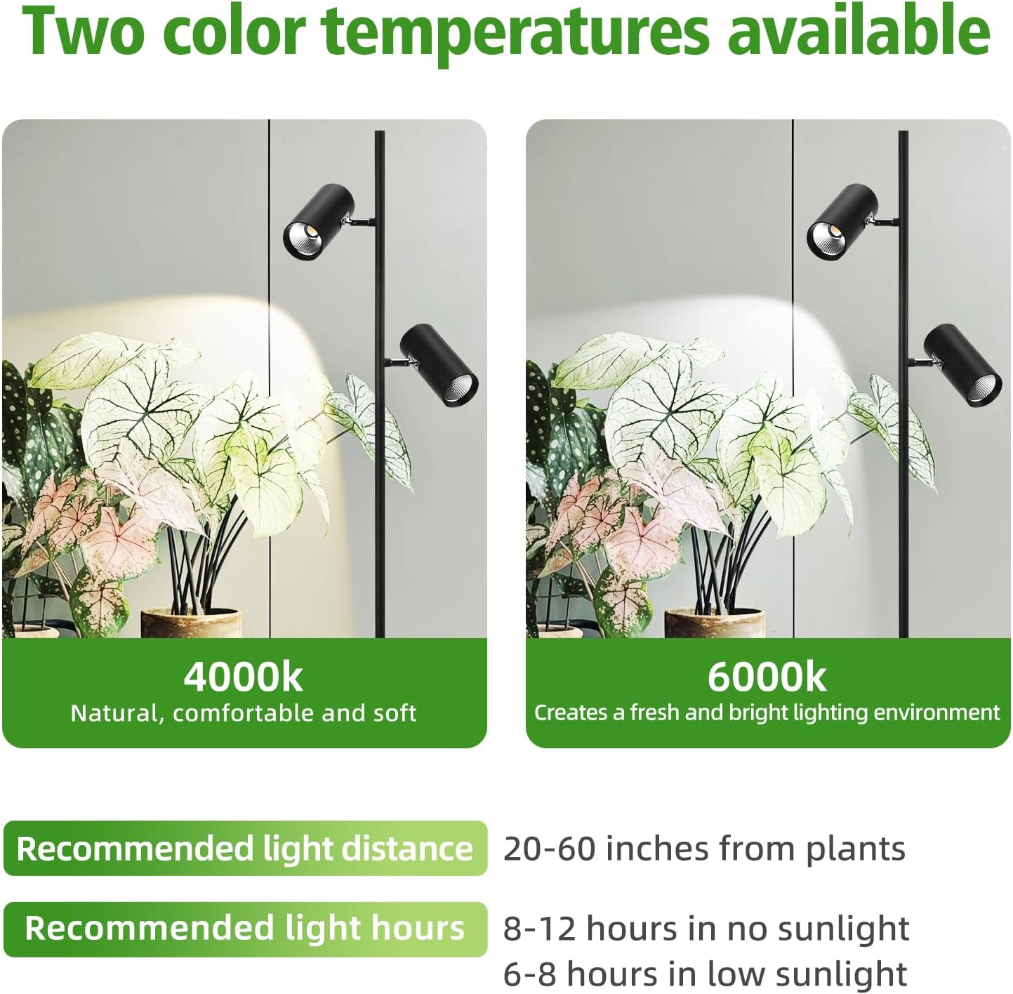 60W Dimmable Grow Light, Daylight Full Spectrum COB LED Dual-Head Floor Lamp with High PPFD&CRI, 6/8/12H Timer, Adjustable Height (37"-77") & Angle – Standing Grow Lights for Indoor Plants