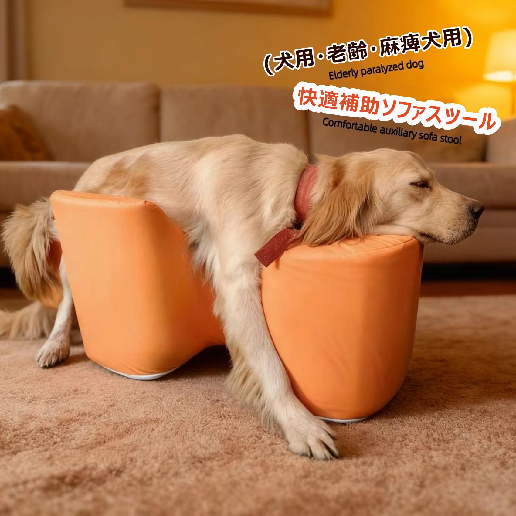 Amazon | 犬用ソファ スツール 老齢犬 麻痺した犬用 立ち上がり補助