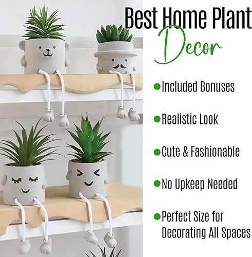Miniatura 8 de Zen Home Pequeñas plantas falsas para estante - Mini plantas suculentas - Pequeñas plantas artificiales para decoración de estantes - Plantas de