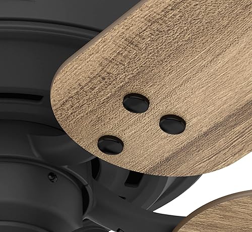 Miniatura 38 de Hunter Fan Company 52380 Shady Grove - Ventilador de techo, color plateado mate Plateado mate,Mate negro,bronce