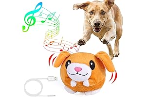 PetsRook Premium Squeaky Plush Toy for Dogs