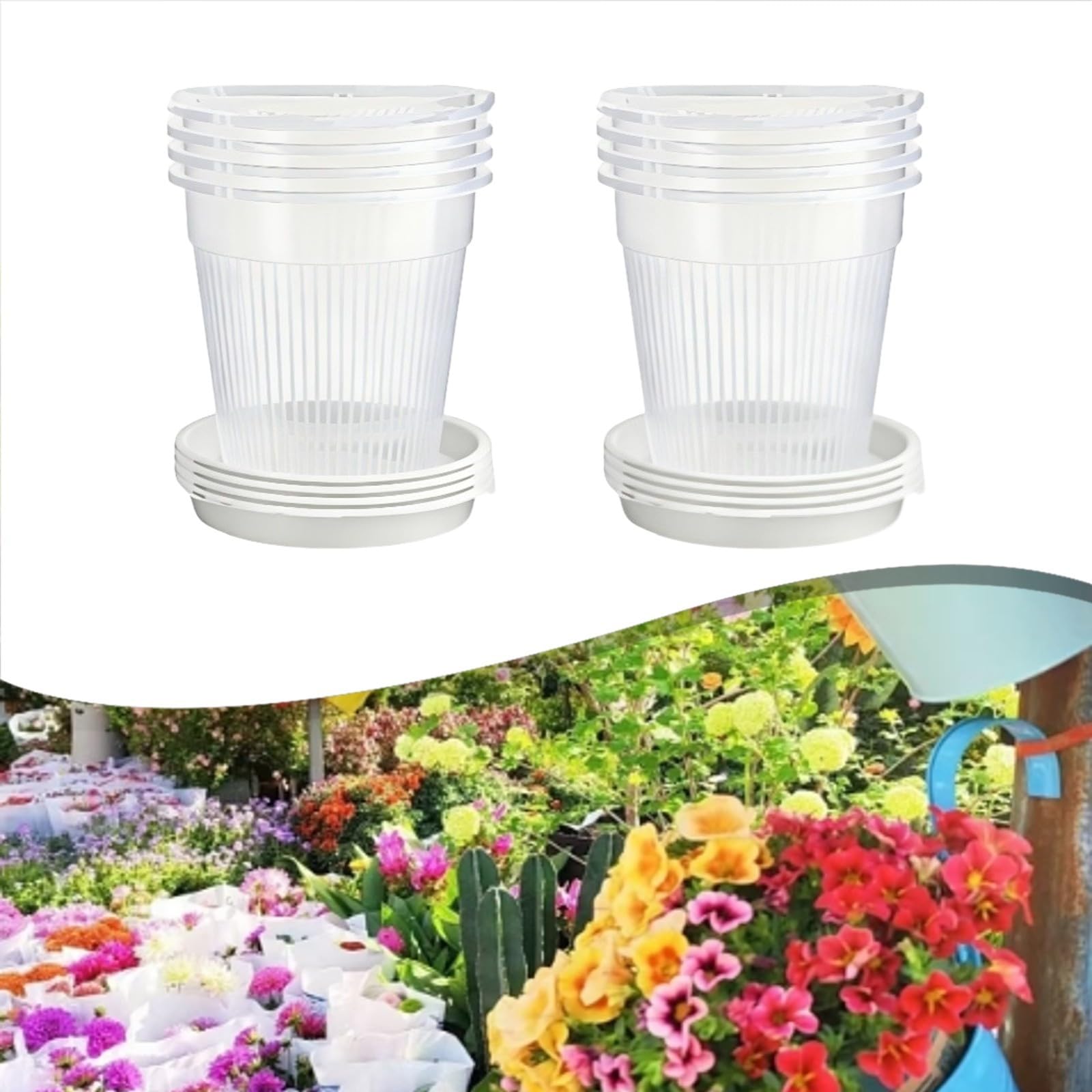 Przezroczyste plastikowe doniczki Doniczka z orchideą otworem drenażowym i tacą, opakowanie 8 sztuk, białe, 14 cm 16(16cm)
