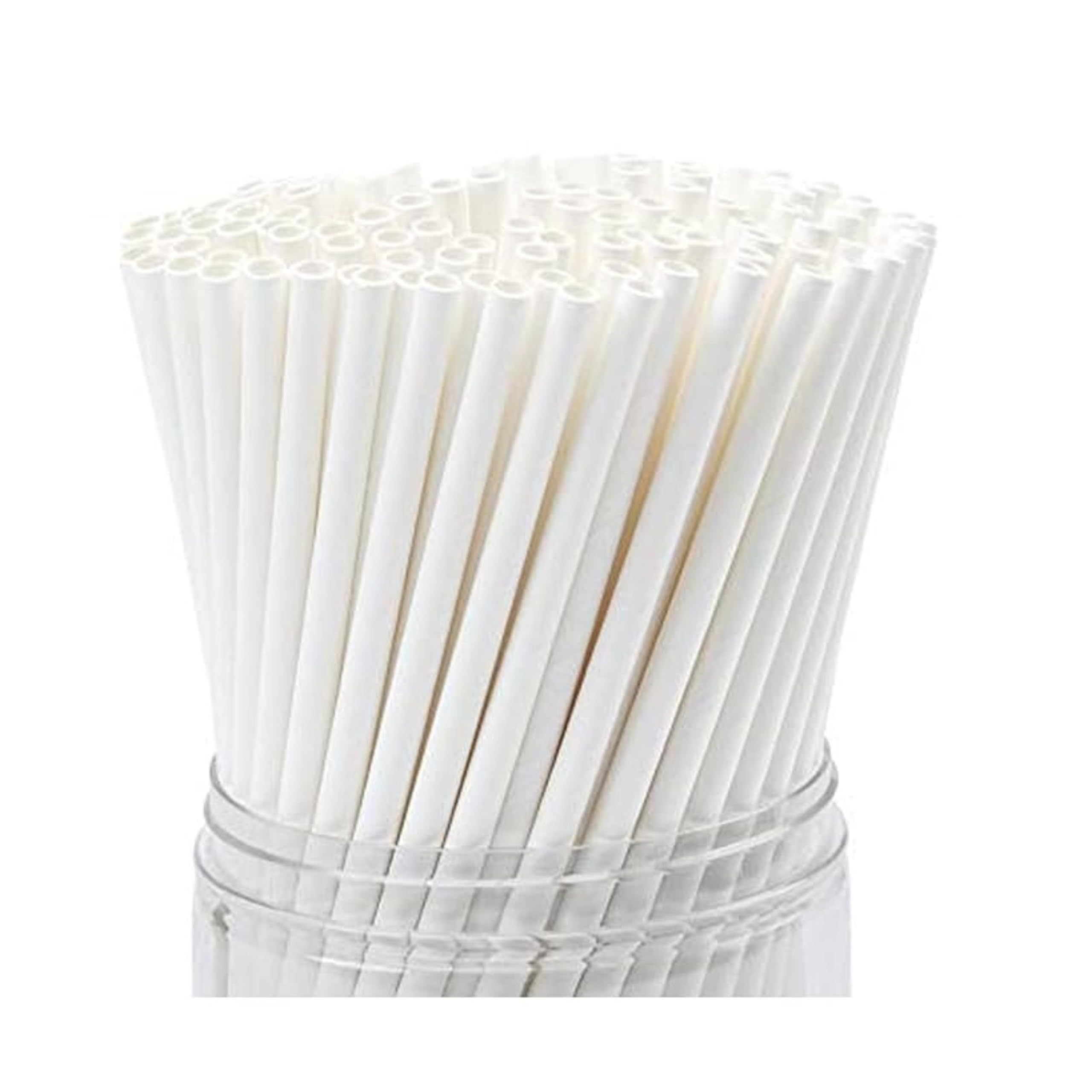 4 Layer Biodegradable Paper Straws | Eco-Friendly Compostable Sustainable Disposable Drinking Straws | Cocktail Cold Drink Juice Non-Bendable White Straws (100, Large 10 MM) (B0D9YKNY23) Amazon Price History, Amazon Price Tracker