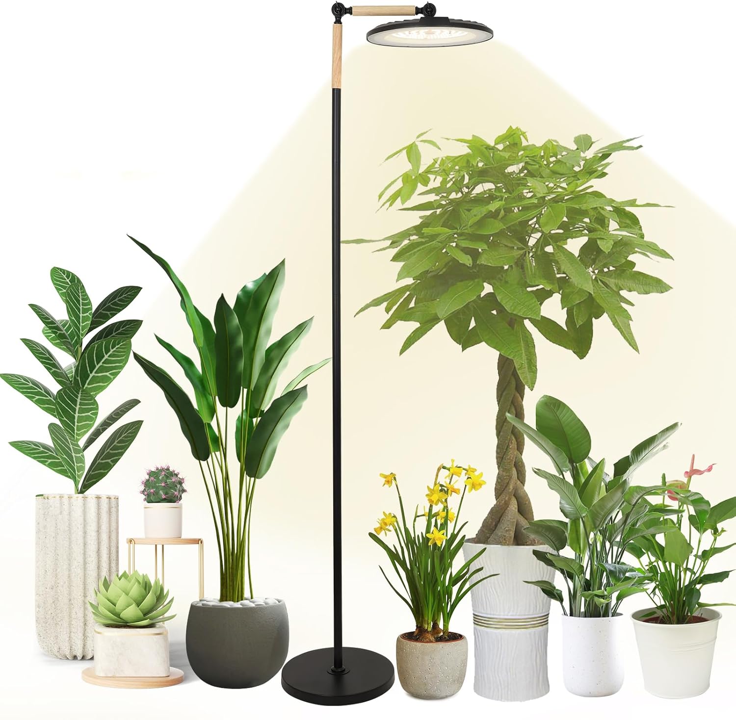 HMVPL 100W Grow Lights for Indoor Plants Full Spectrum, Plant Lights for Indoor Growing with 216 Light Beads, Timer, Remote Control, Dimmable Standing Growth Lamp for Large Many Plants(5 Level Height)