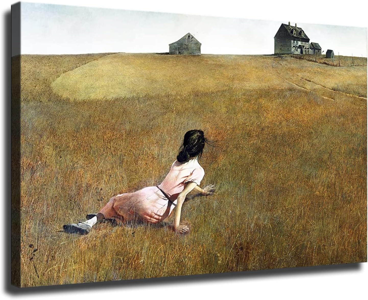 Amazon.com: Andrew Wyeth Christina's World Print - World's Most Famous ...