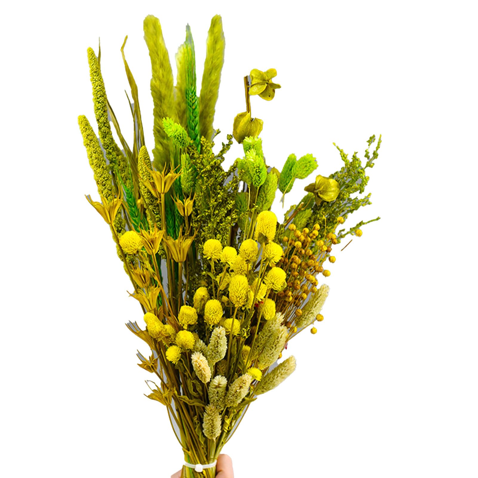 Bouquet Mix di Bouquet di Fiori Secchi, Fiori di Lavanda Secchi da 21,6 Pollici e Palline di Billy Secchi Code di Coniglietto di Pampa in Cotone Stelo di Erba Decor (E)