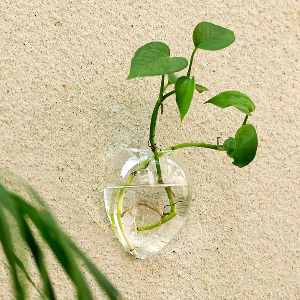 NUPTIO Terrario da parete sospeso: stazione di propagazione per piante, 4 | Vaso da parete in vetro trasparente per interni, esterni, soggiorno, ufficio, cucina, balcone, contenitori idroponici per