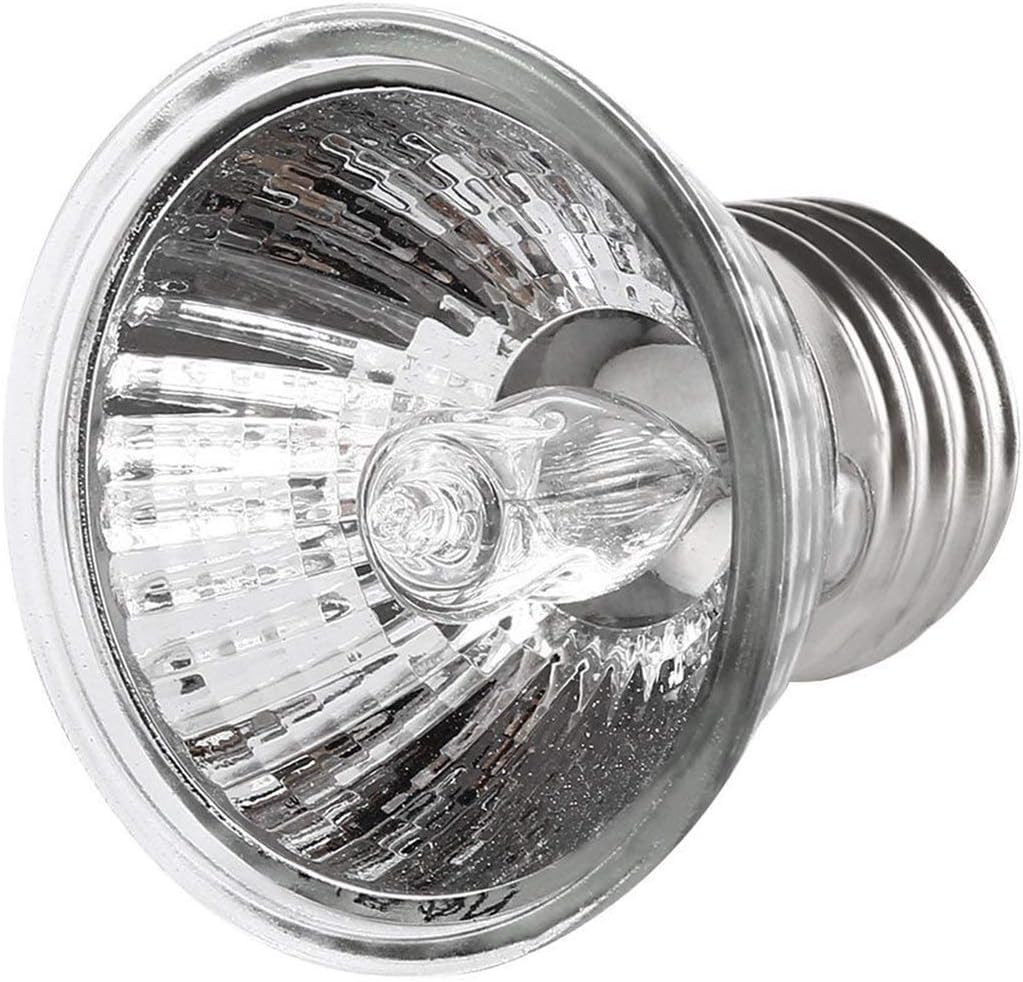 luce a spettro completo per rettili