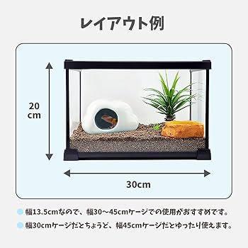 Amazon | 両爬工房 シェルター 隠れ家 爬虫類 レオパ ニシアフ 陶器