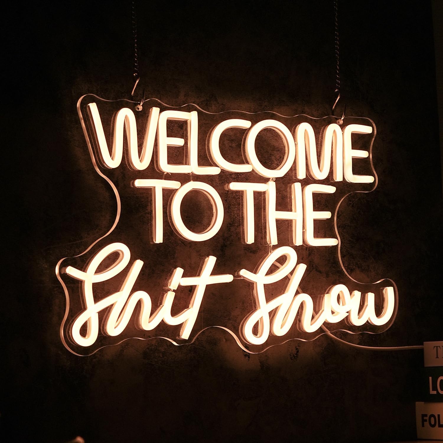 Welcome To The Show Neon Sign Letter LED Funny Neon Lights Dimmable USB Powered 16.5’’X11’’Cool Wall Light Sign for Bedroom Club Birthday Party Bar Decoration Gifts for Friend（Warm White）
