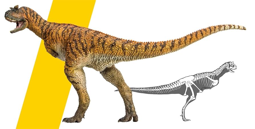 Amazon | PNSO 成長シリーズ カルノタウルス 恐竜