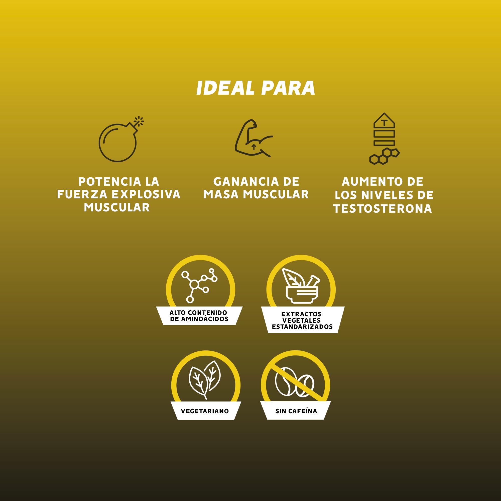 GoldNutrition Anabol |Sabor Limón | Bote de 300g en polvo | Fórmula Anabólica | Repón los niveles naturales de testosterona, combinados con zinc, vitamina D y ácido D-aspártico.
