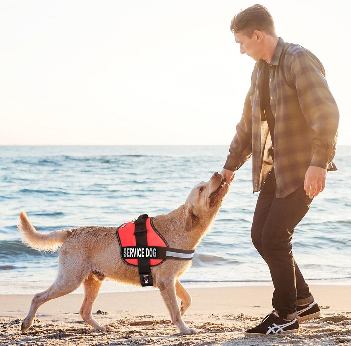 Dogline Unimax Service Dog Vest and Free Service Dog ID Badge with ADA Law, X-Small, Red : Pet Supplies