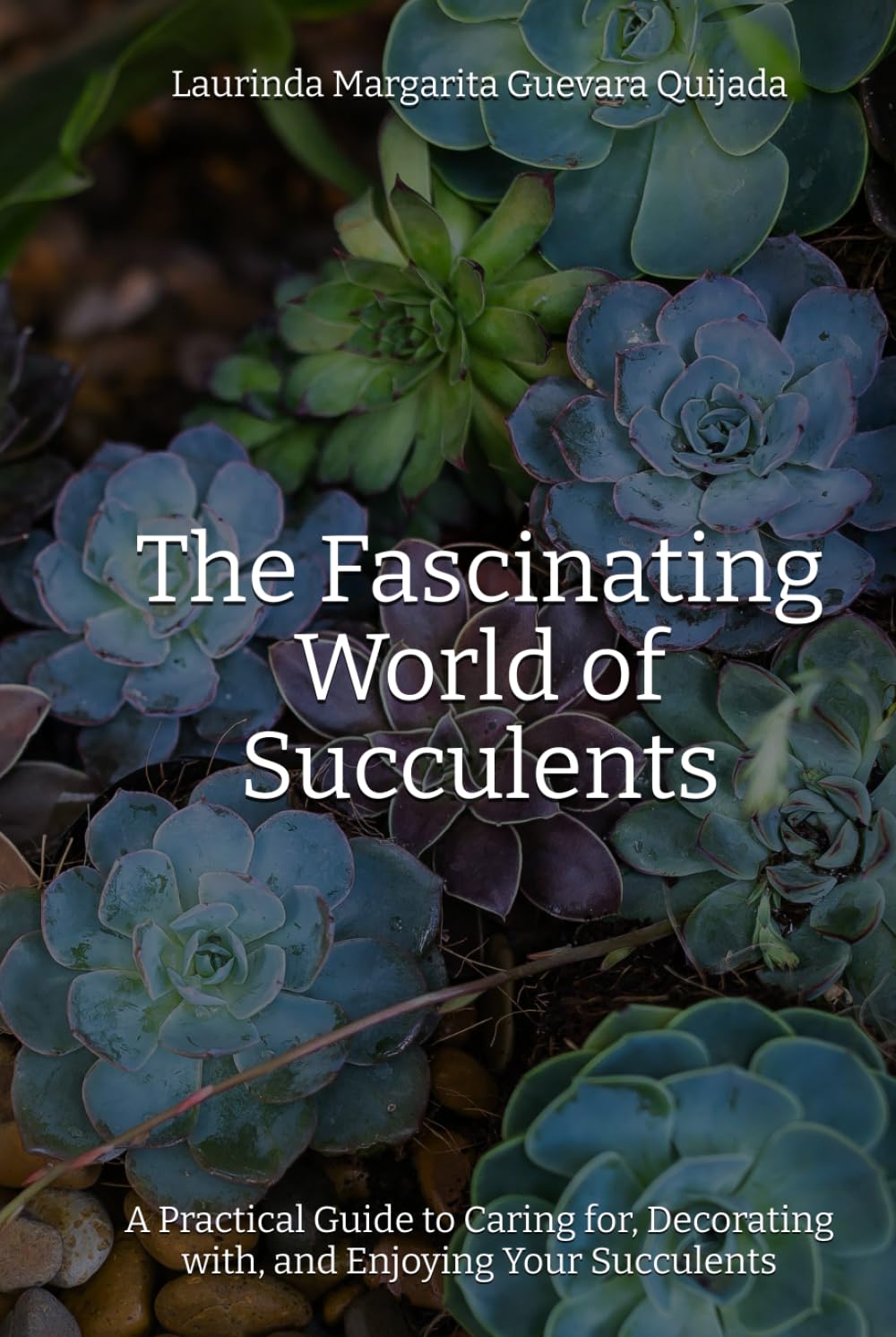 The Fascinating World of Succulents: A Practical Guide to Caring for, Decorating with, and Enjoying Your Succulents