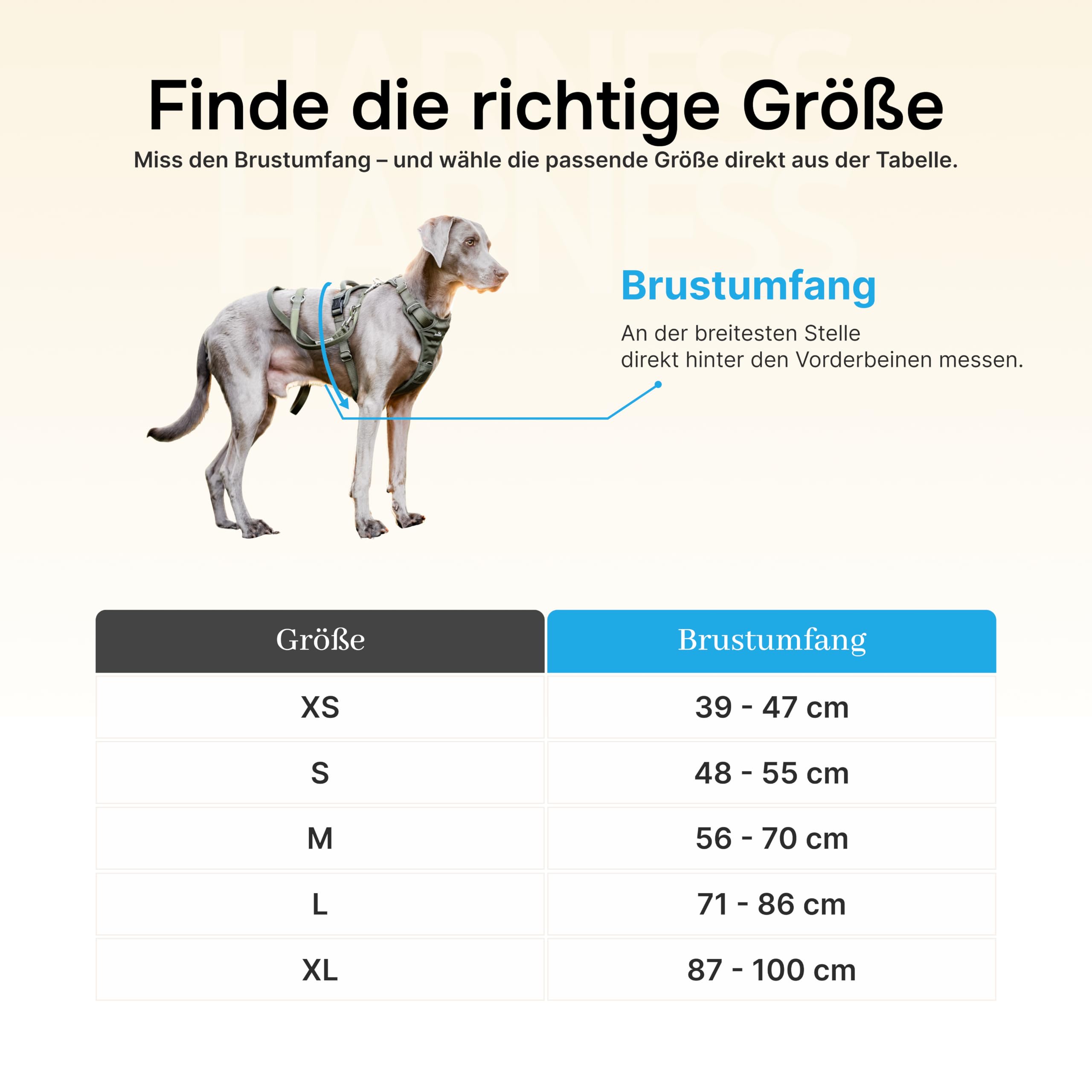 FREUDENTIER Hundegeschirr mit Griff & atmungsaktiver Polsterung - Höchster Komfort, fester Sitz & maximale Sicherheit - Anti Zug - Lets get Foxy Kollektion - Für kleine, mittelgroße & grosse Hunde (M)