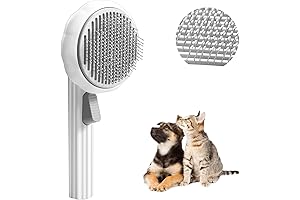 Pumpkin Pet Brush Dog: The Ultimate Grooming Solution for Your Furry Friend