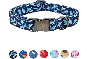Elegant little tail Dog Collar for Large Dogs Male