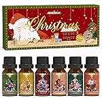 ARVIDSSON Christmas Fragrance Oil Set, Winter Essential Oils for Diffuser, Candle Making - Christmas Spirit, Gingerbread, Apple Cinnamon, Candy Cane, Mistletoe, Holiday Diffuser Oils Gift Set