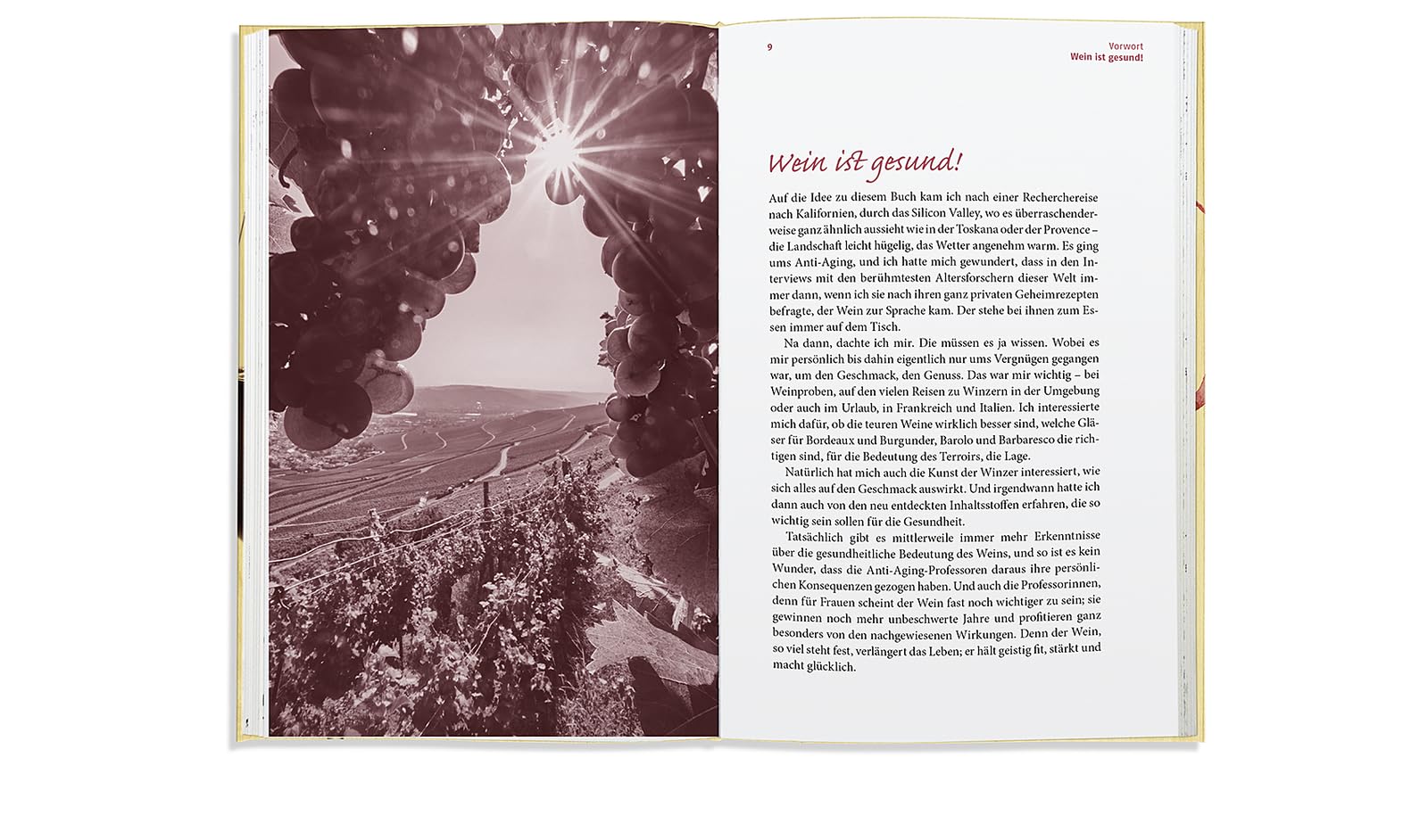 Wein ist gesund: Wie er uns stärkt und glücklich macht
