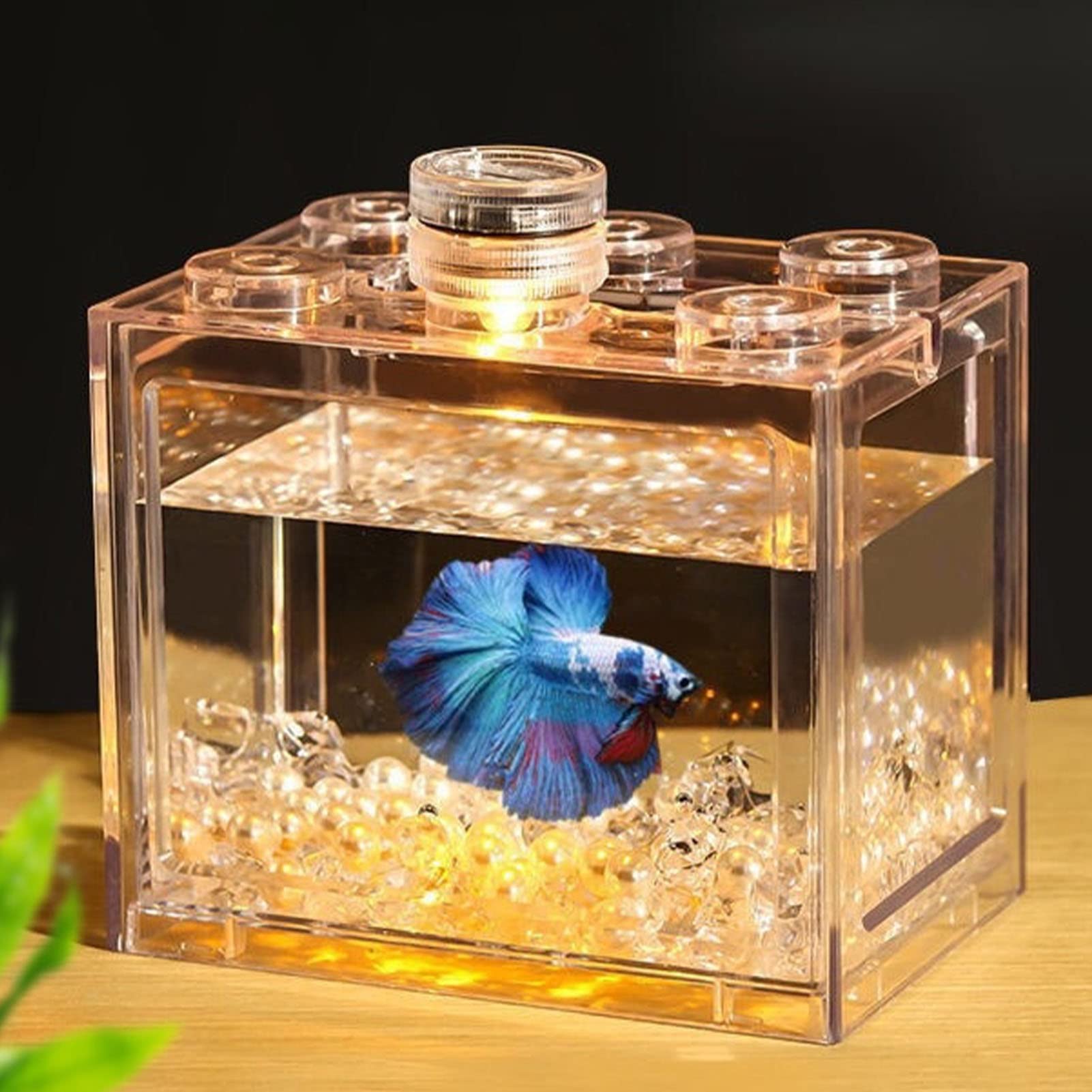 Miniaturowy akwarium, małe akwarium betta, przenośny, przezroczysty, wykwintny, odporny na upadki, dla gadów dla ryb (zwykły przezroczysty)