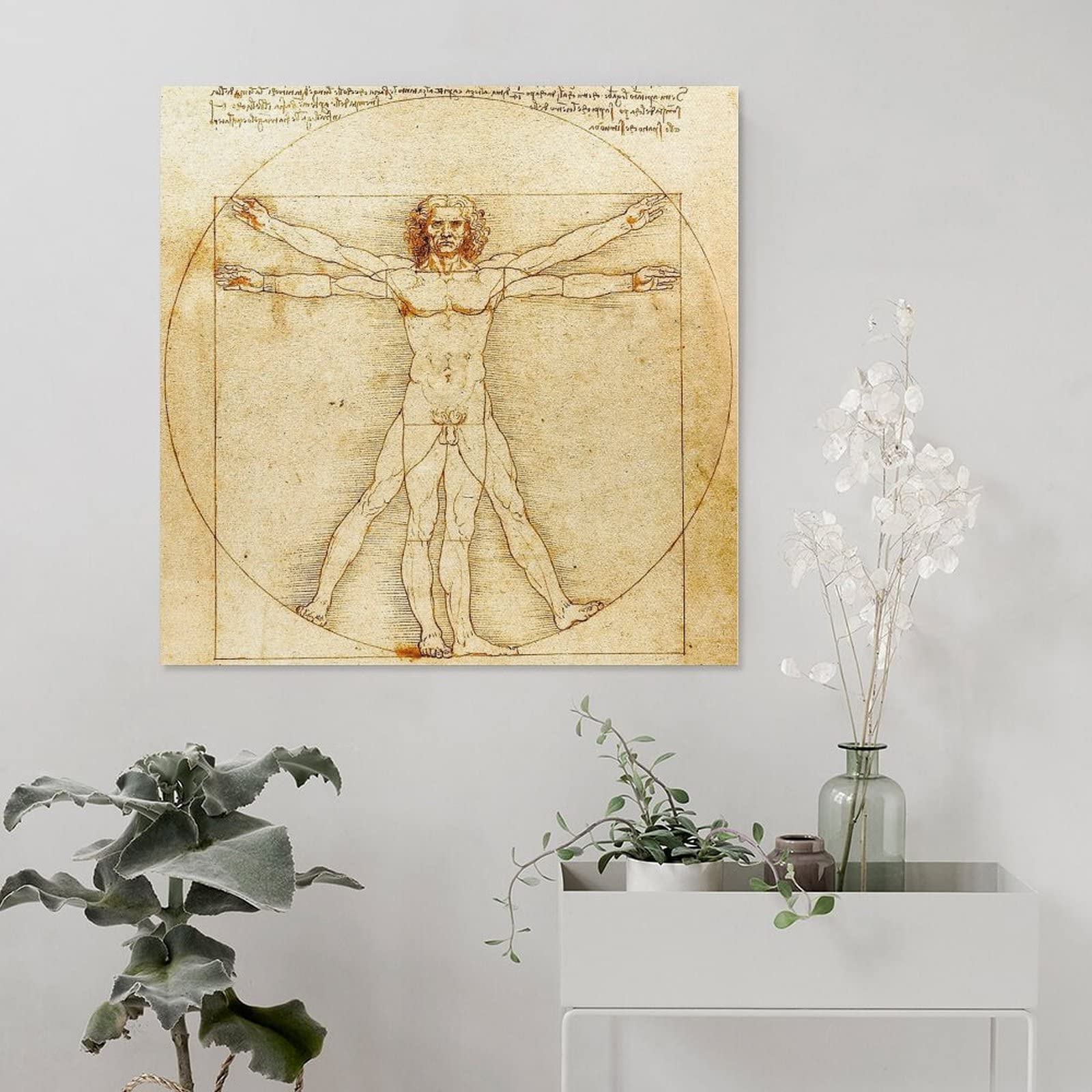 Amazon.co.jp: Leonardo Da Vinciレオナルドダヴィンチ画家の作品